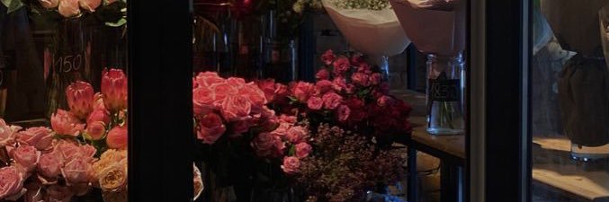 7951_11's profile banner image