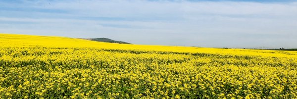 Eulogs Profile Banner