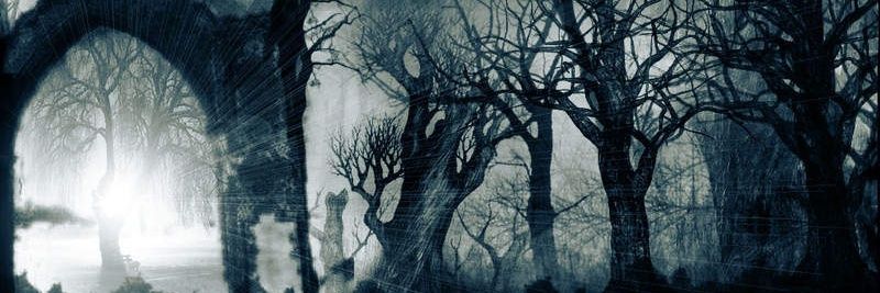 Eli5291's profile banner image