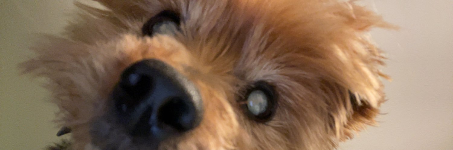 EmMeaney's profile banner image