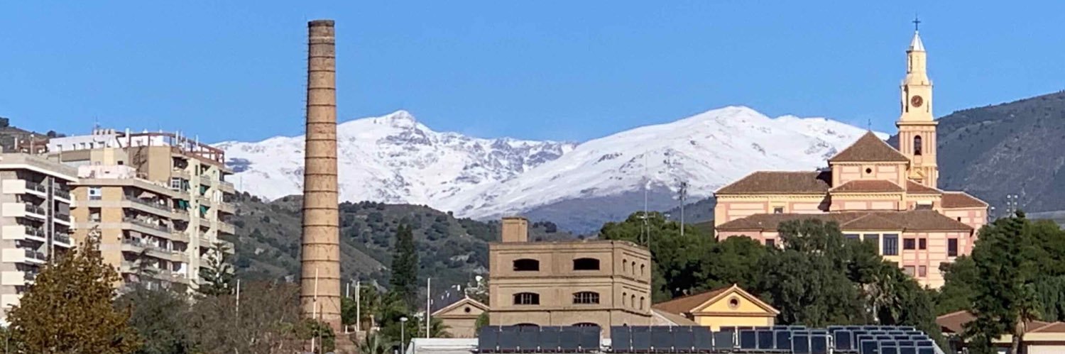 Mark Levesley banner