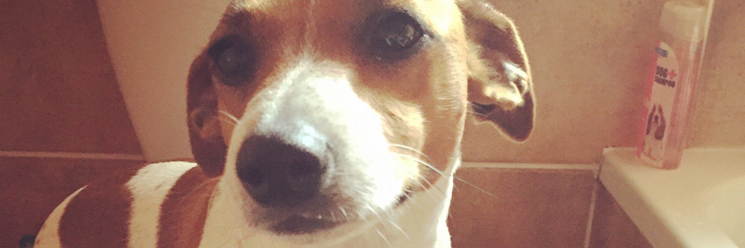 emokidlynn's profile banner image