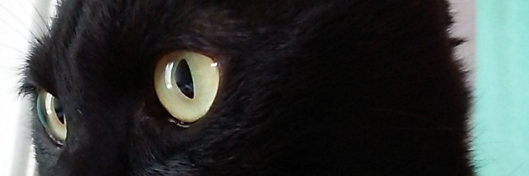 mareko7man7's profile banner image