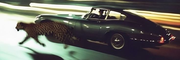 fahdah_46's profile banner image