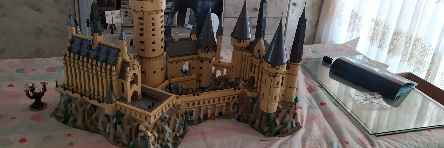 smallvoldy's profile banner image