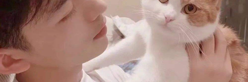 AndrerazaoAndre's profile banner image