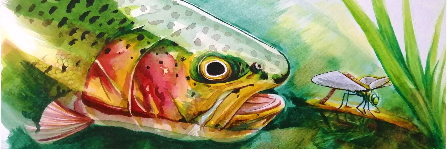 sergiochipa's profile banner image