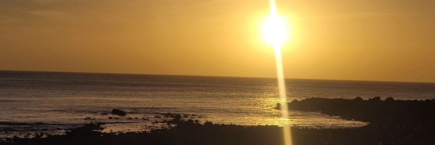 LucyyCartwright's profile banner image