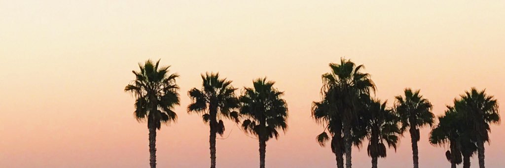jazziherring's profile banner image
