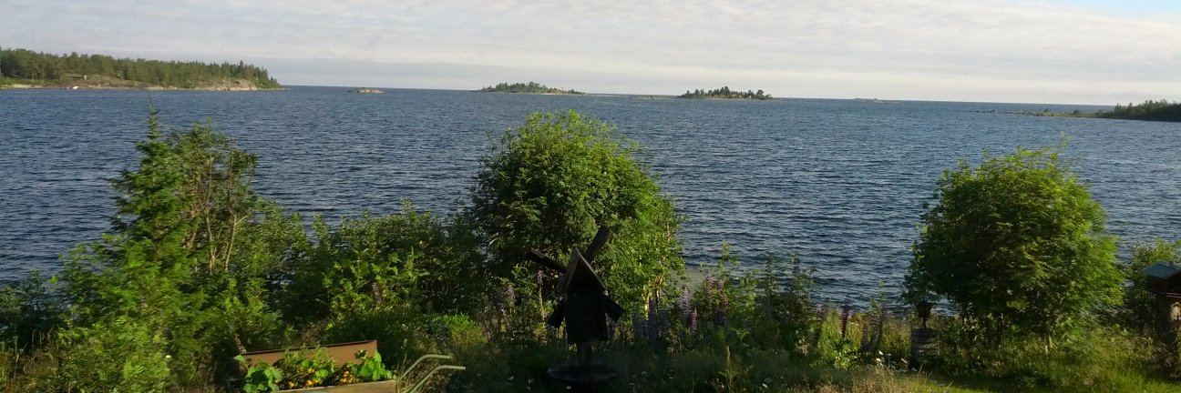 Daniel Johansson banner