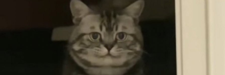 als0nad's profile banner image