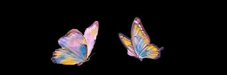 elflyd's profile banner image