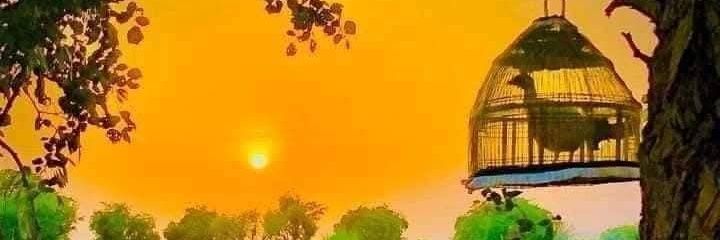 SMLaghari's profile banner image