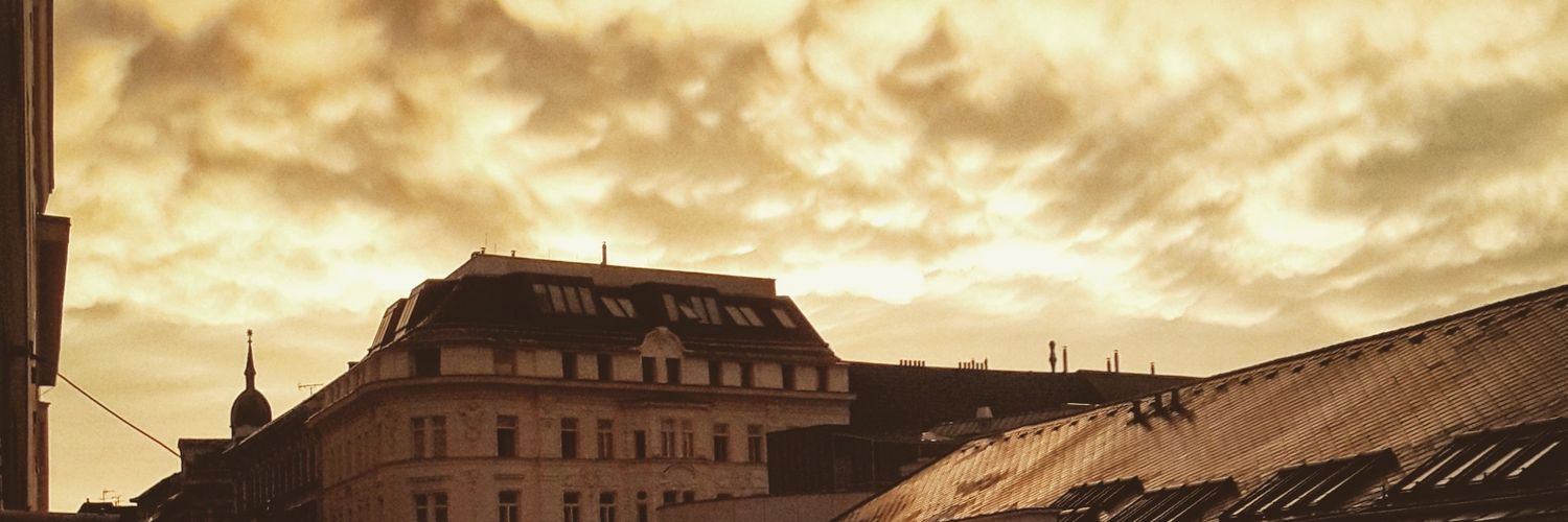 ravidefroni's profile banner image