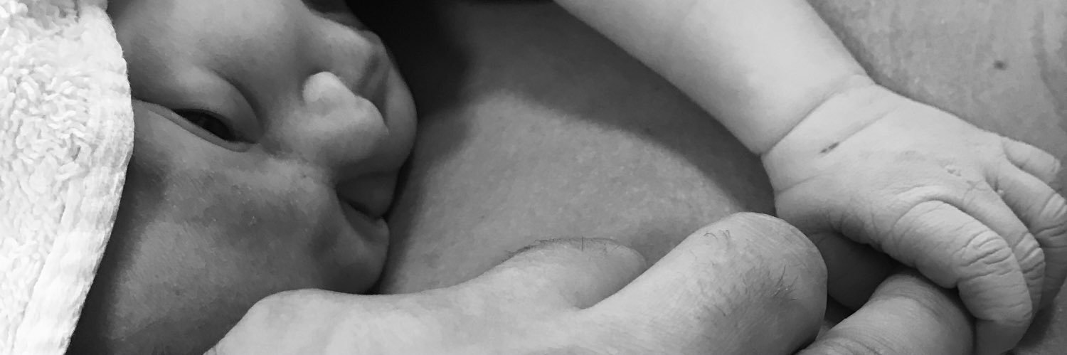 David_Laidler's profile banner image