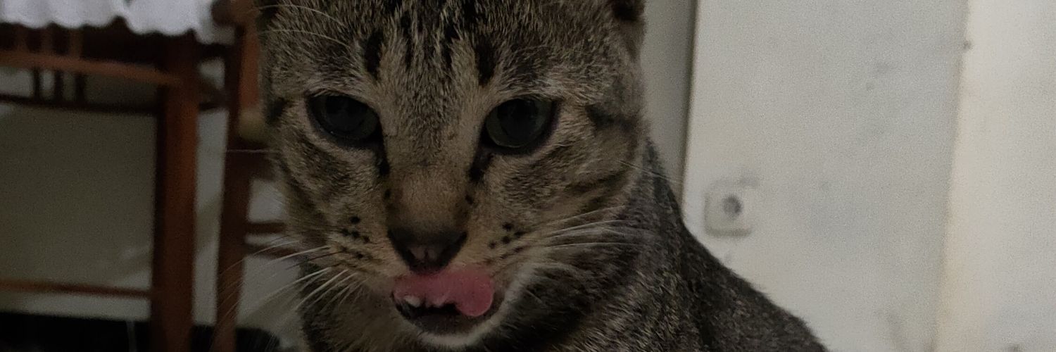malanyaa's profile banner image