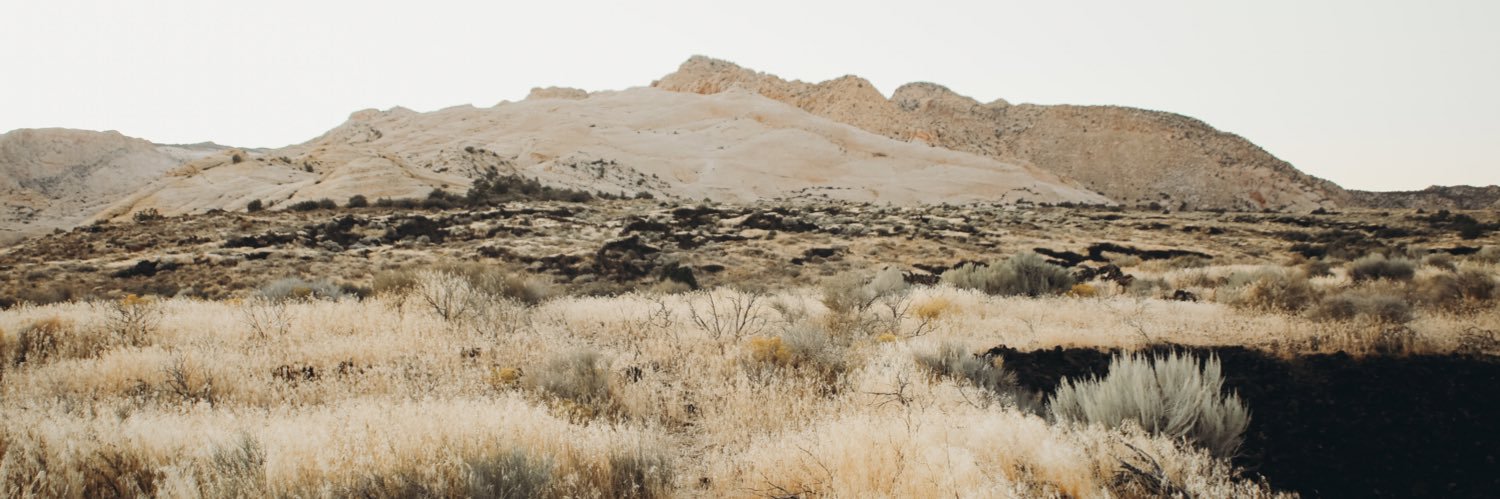 KennedyPeck's profile banner image
