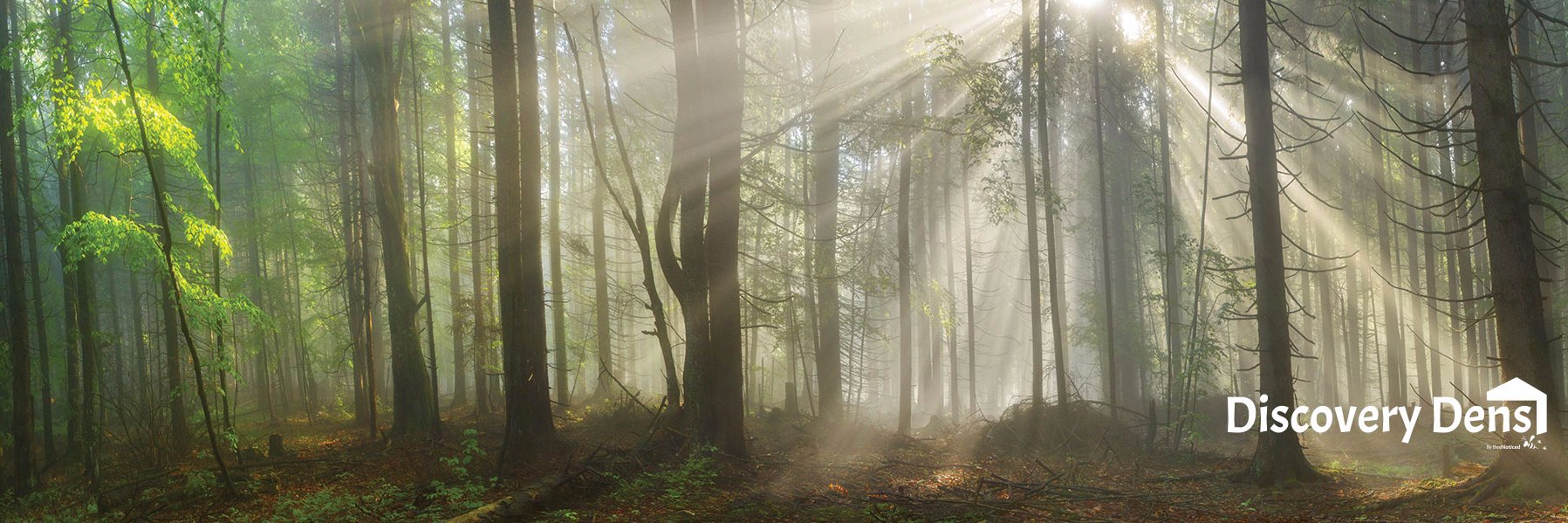 DiscoveryDens's profile banner image
