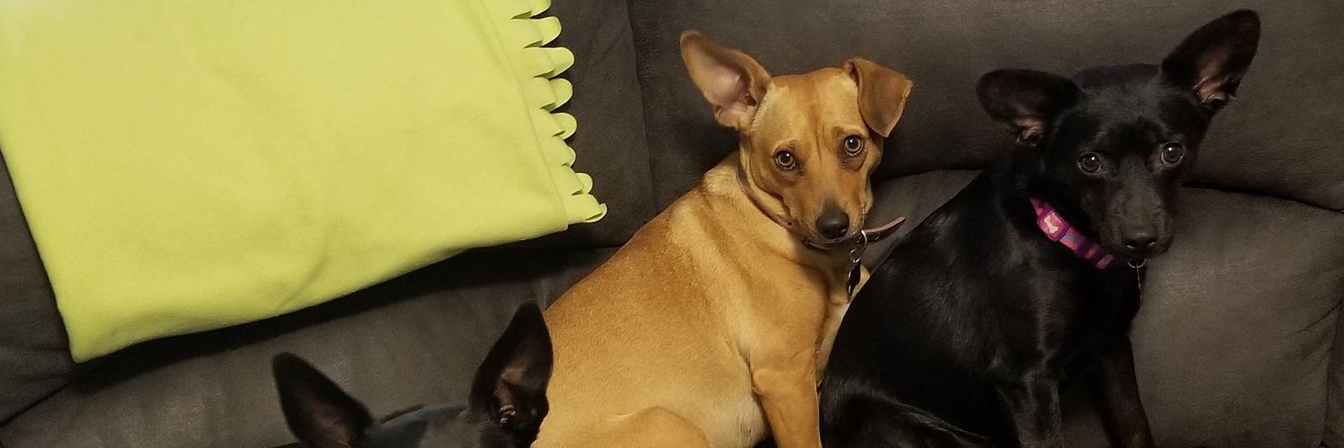 georgilew's profile banner image