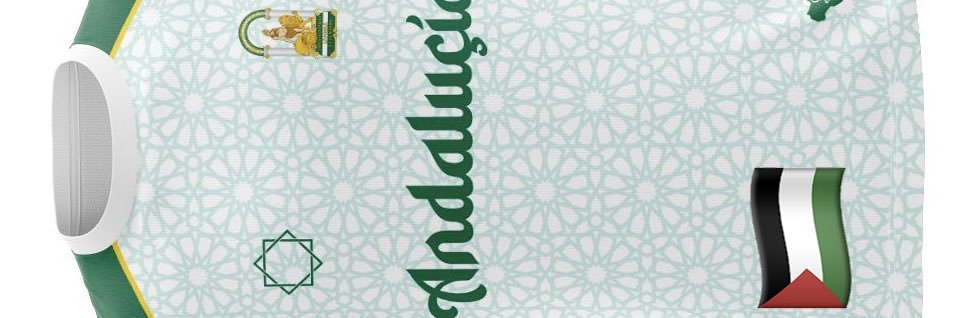 danielmd21۞🇵🇸 banner