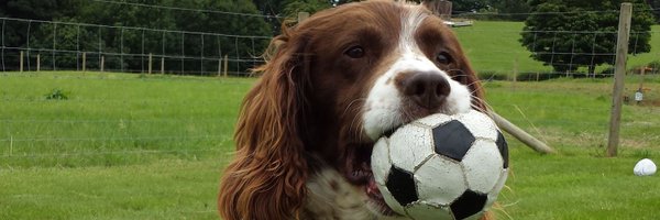 duffy1972 Profile Banner