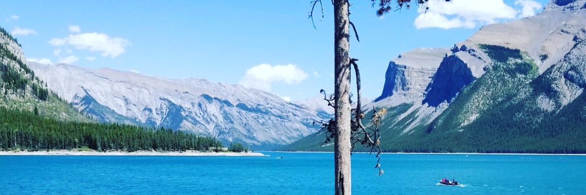 ripudamann's profile banner image