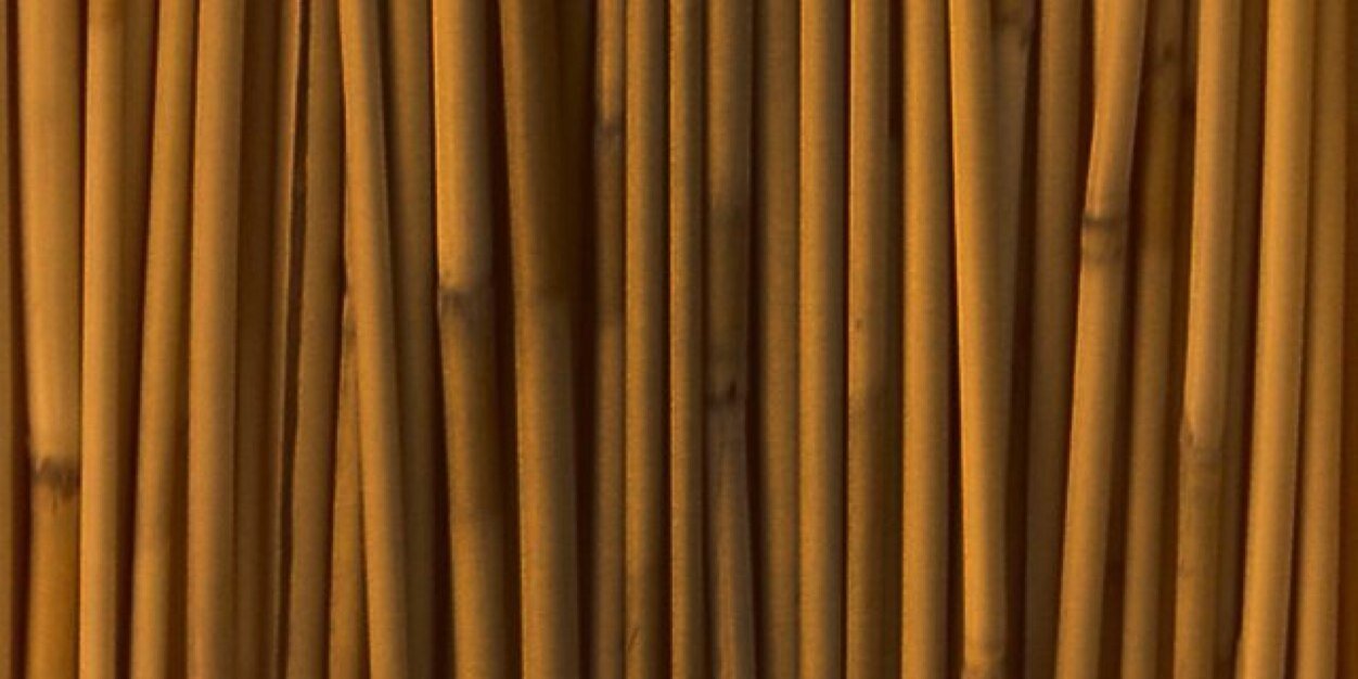 JaviMonkey84's profile banner image