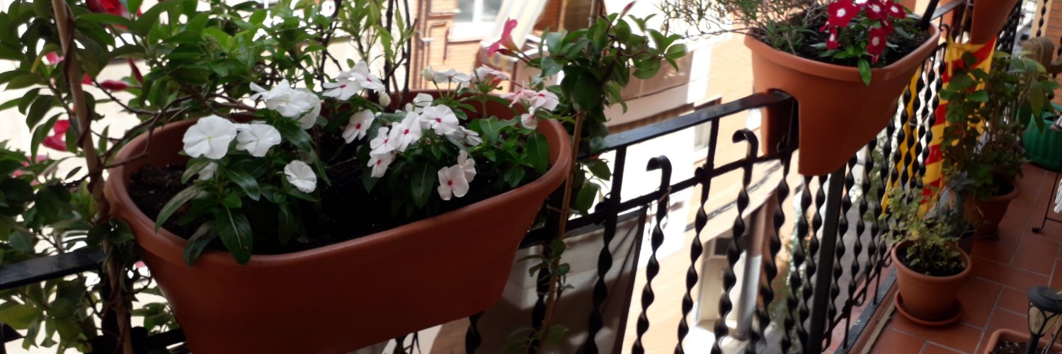 FloraPla's profile banner image