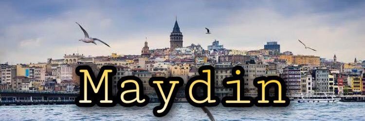 Maydin 🇹🇷 🌙 🐘 banner