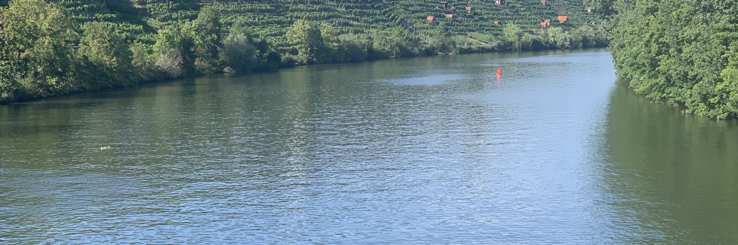 Beytocannnnn's profile banner image
