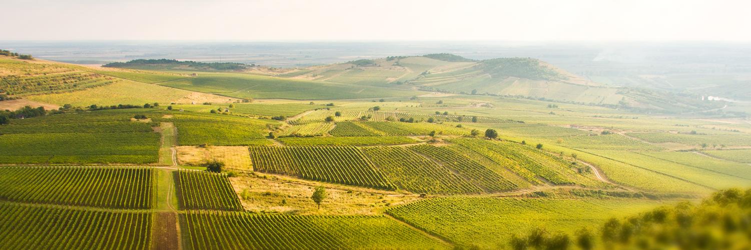 enjoyTokaj's profile banner image