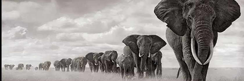 Rodricarrion02's profile banner image