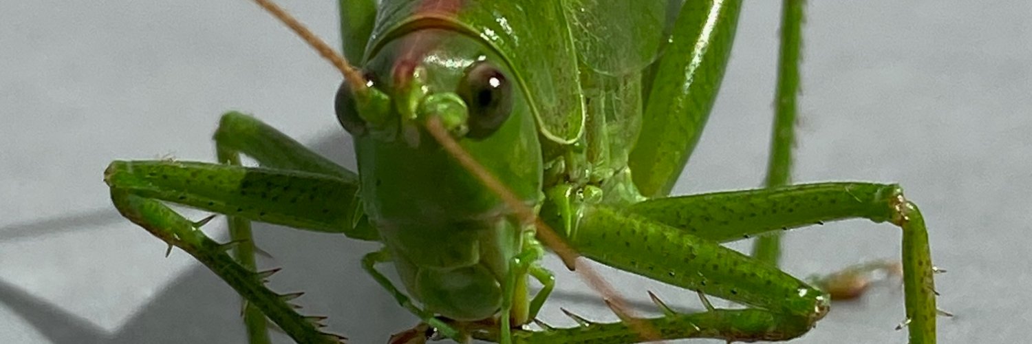 maltbach's profile banner image
