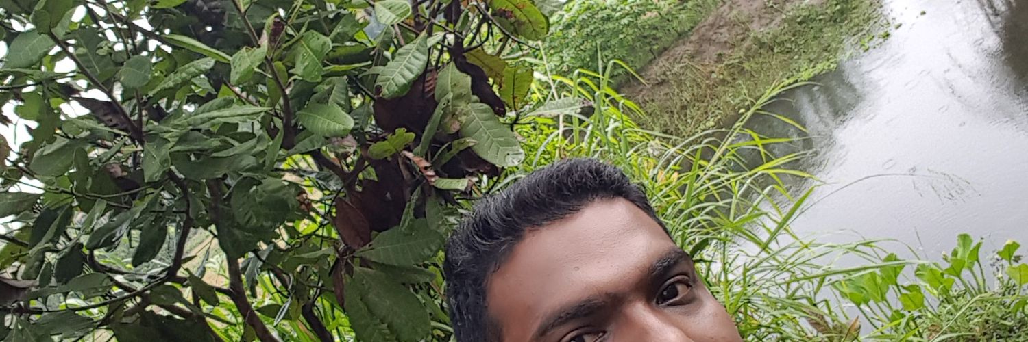 Sreemonpv's profile banner image