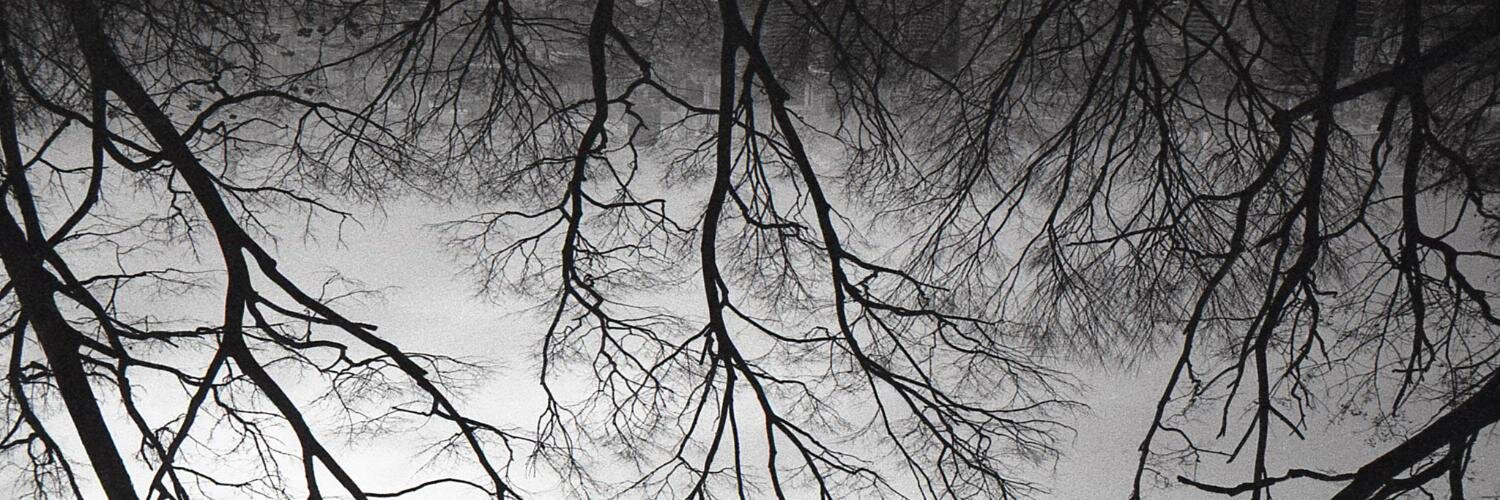 PavleSavic's profile banner image