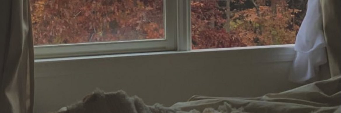 nvmbittersweet's profile banner image