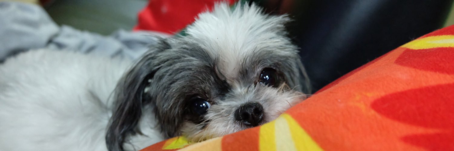 erickaharrietx's profile banner image