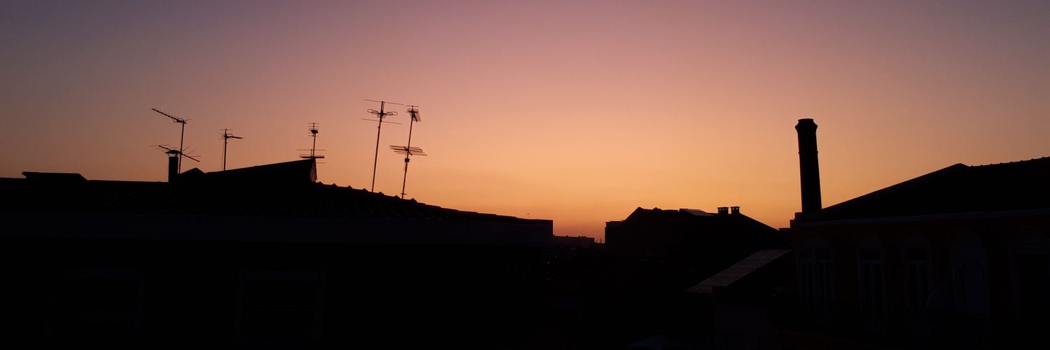 Marta San Miguel banner