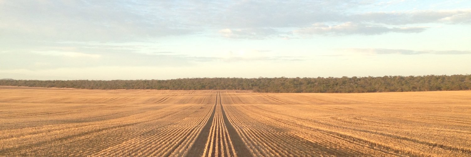 Paul Schaefer banner