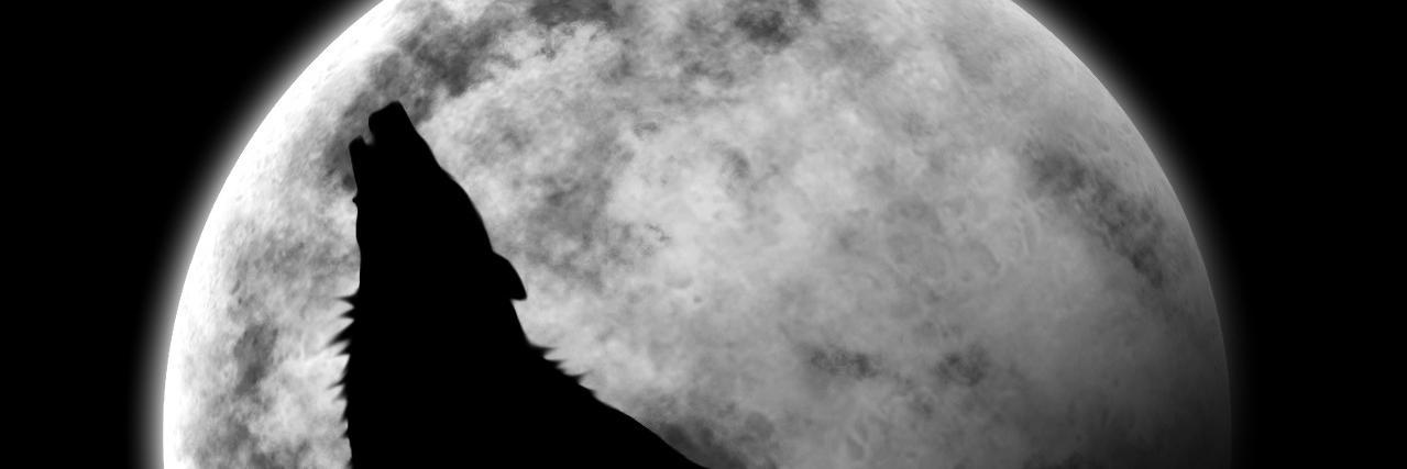 RTR_239's profile banner image