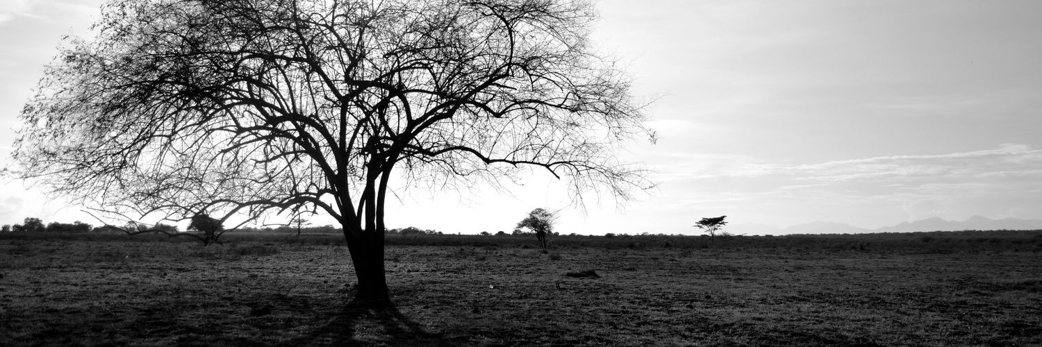 ihRibed's profile banner image