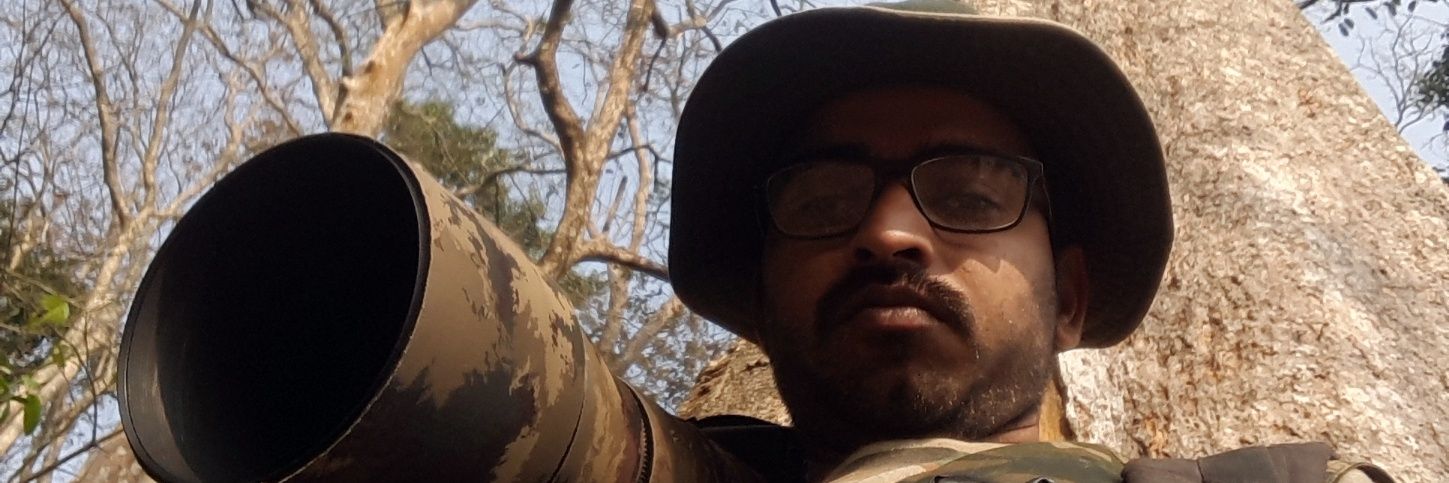 dheerajml's profile banner image