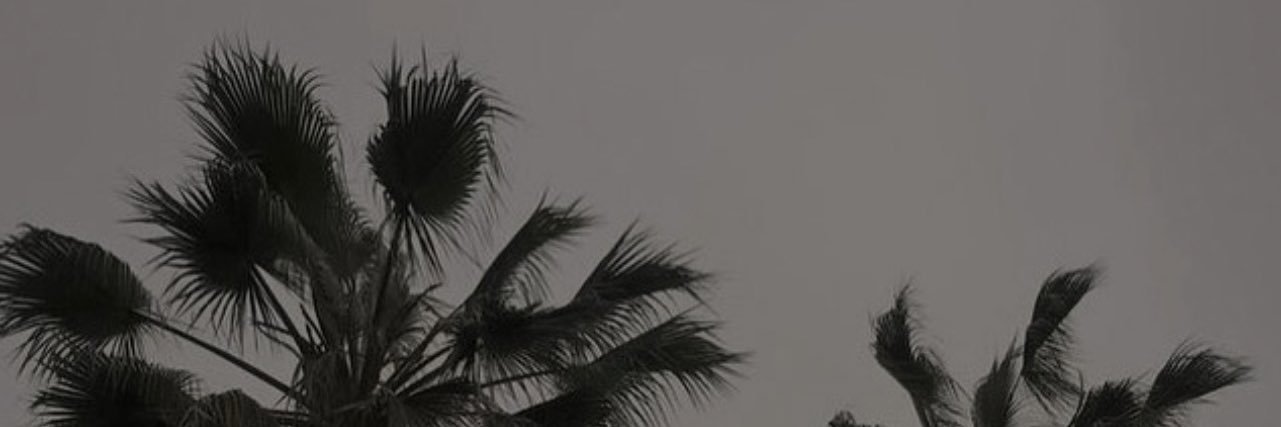 moniquewade__'s profile banner image