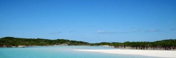 ripomatic1 Profile Banner