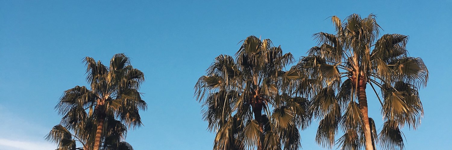 PakinBall's profile banner image