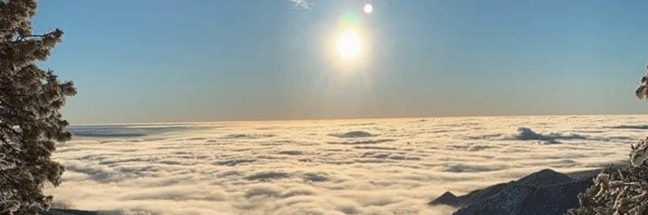 AlisonAllen__'s profile banner image