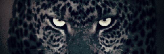 rafgrafg's profile banner image