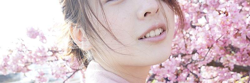 NobSpring's profile banner image