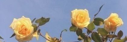 STAYthatstays's profile banner image