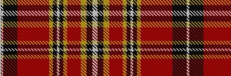 🐝🌿📐Olivier💙🐺💙 banner